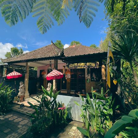 Homestay Sente Munduk Extérieur photo