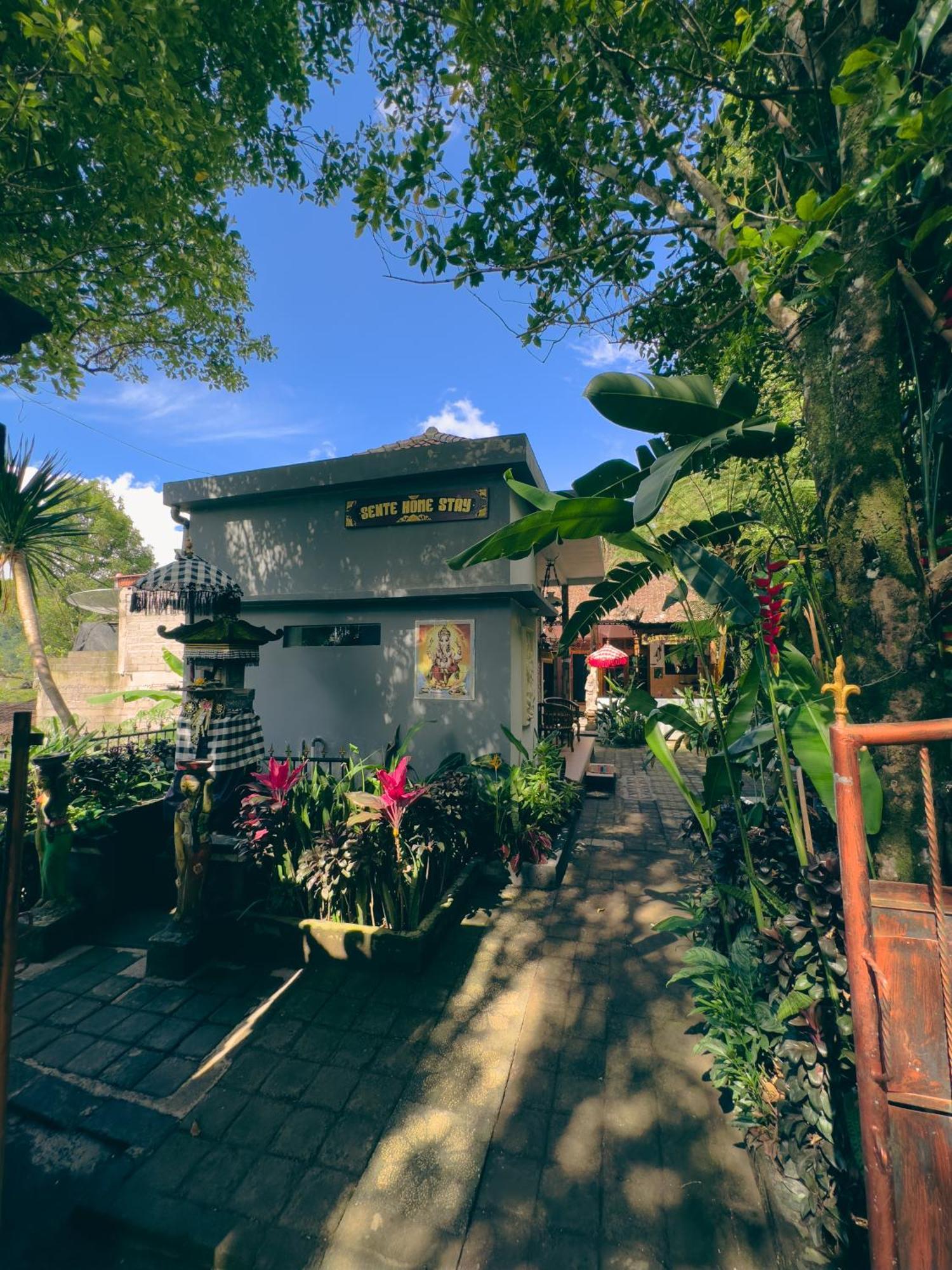 Homestay Sente Munduk Extérieur photo