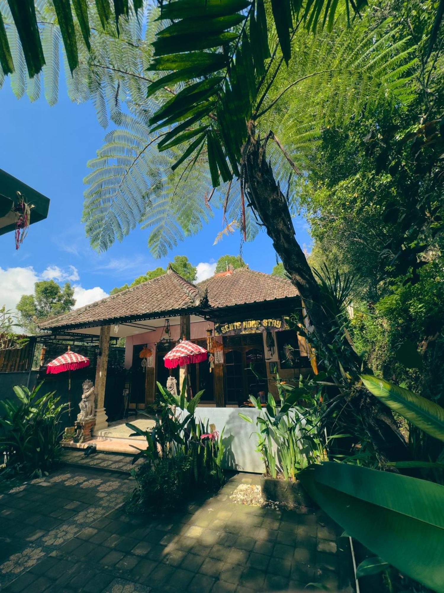 Homestay Sente Munduk Extérieur photo